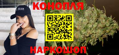 прущие крисы Будённовск