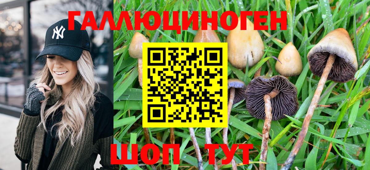 Псилоцибиновые грибы MAGIC MUSHROOMS  Вход с VPN  Лянтор 